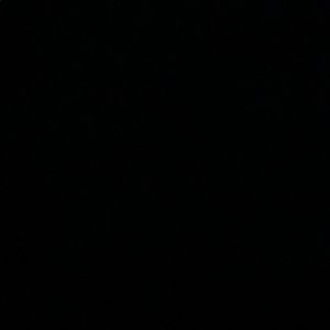 Meet your Posher, Taisha